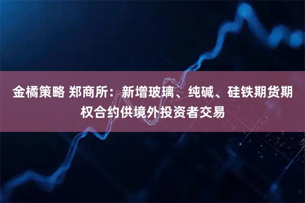 金橘策略 郑商所：新增玻璃、纯碱、硅铁期货期权合约供境外投资者交易