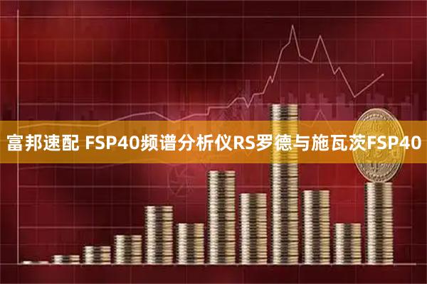 富邦速配 FSP40频谱分析仪RS罗德与施瓦茨FSP40