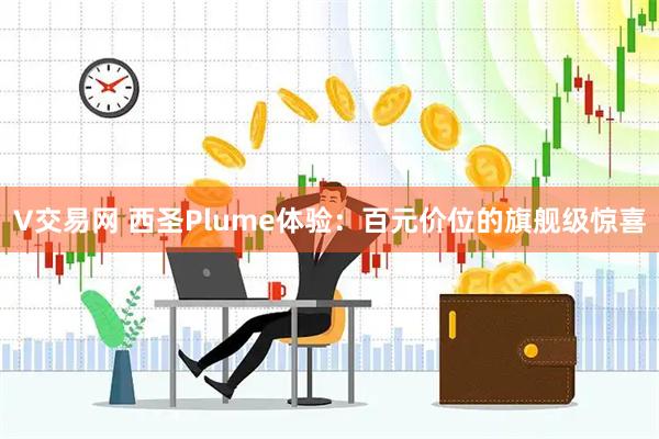 V交易网 西圣Plume体验:百元价位的旗舰级惊喜