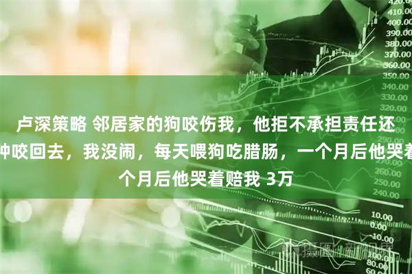 卢深策略 邻居家的狗咬伤我,他拒不承担责任还叫嚣:有种咬回去,我没闹,每天喂狗吃腊肠,一个月后他哭着赔我 3万